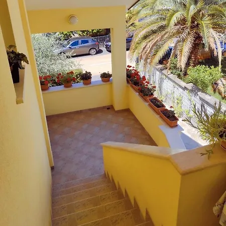 Apartment Novigrad Novigrad  Exterior photo
