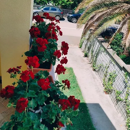 Apartment Novigrad Novigrad  Exterior photo