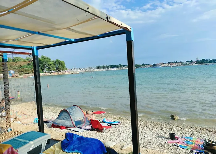 Apartment Novigrad