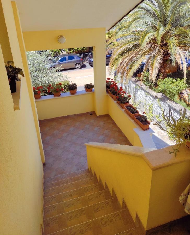 Apartment Novigrad